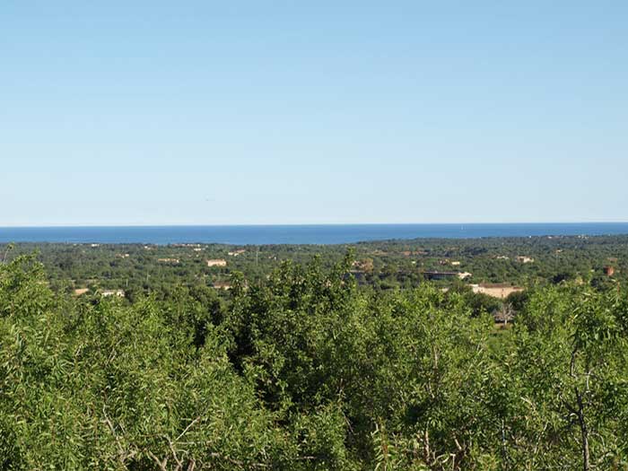 Blick in die Landschaft bis zum Meer Ferienfinca Mallorca PM 658 für 12 Personen